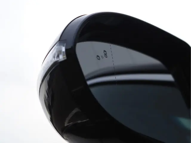 Kia e-Niro ExecutiveLine 64 kWh 2019 Elektrisch 13