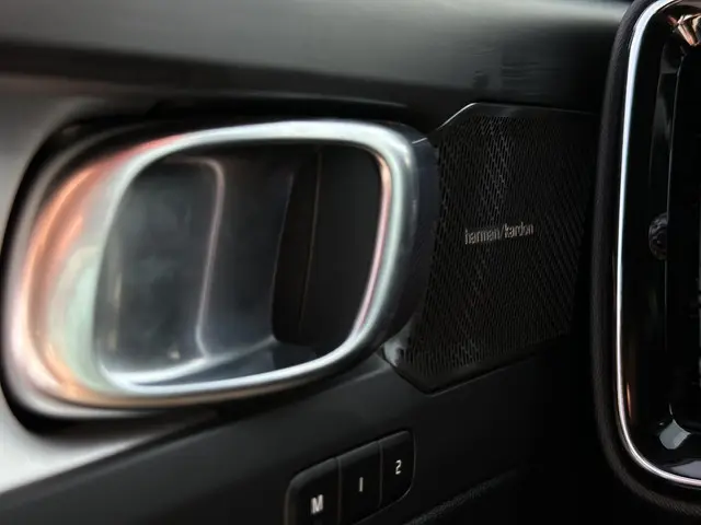 Volvo XC40 2.0 B4 Plus Dark 2024 Benzine 18