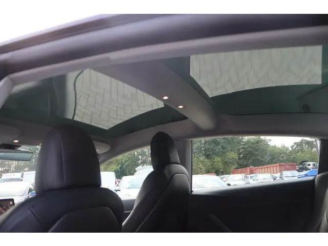 Tesla Model 3 Standard RWD Plus 60 kWh 2021 Elektrisch 12