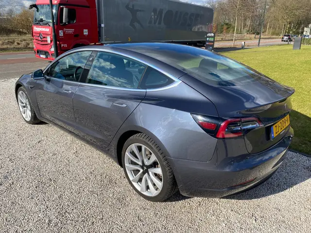 Tesla Model 3 Long Range AWD 75 kWh 2019 Elektrisch 5