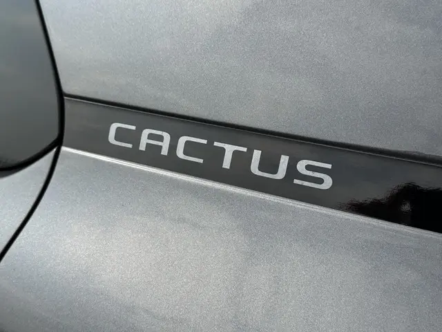 Citroën C4 Cactus 1.2 PureTech Feel 2019 Benzine 32