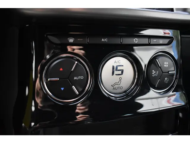 DS DS 3 PureTech 82 Business 2016 Benzine 13