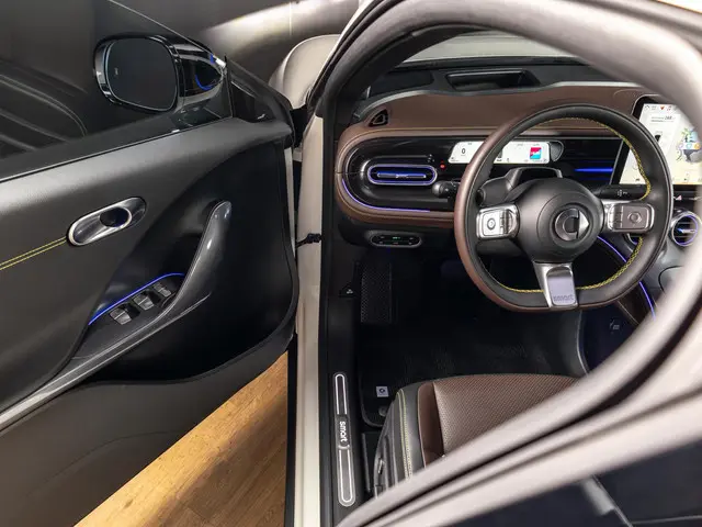 Smart #3 Premium 66 kWh 2025 Elektrisch 22