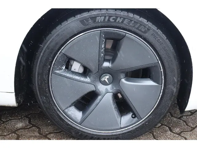 Tesla Model 3 Long Range AWD 75 kWh 2021 Elektrisch 13