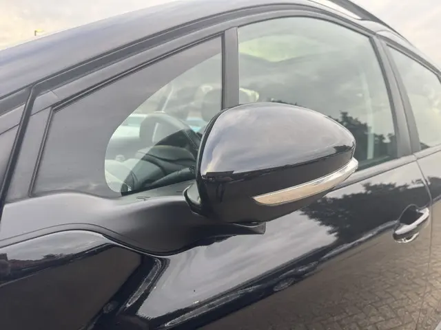 Peugeot 2008 Blue Lion 1.2 Puretech 110 2018 Benzine 12