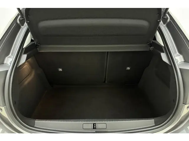 Opel Corsa 1.2 Edition 2019 Benzine 10