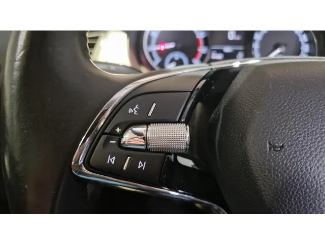 Škoda Fabia Combi 1.0 TSI Business Edition 2021 Benzine 17