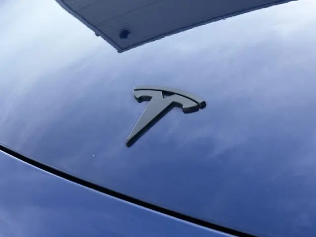 Tesla Model 3 Long Range AWD 75 kWh 2021 Elektrisch 50