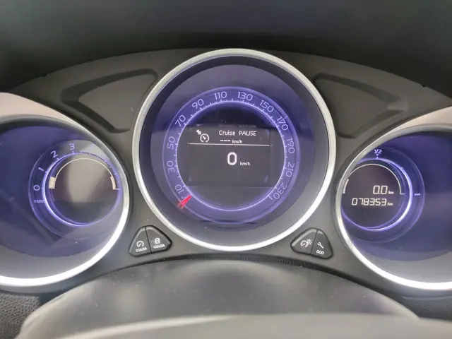 DS DS 4 1.2 '1955' !! VERKOCHT !! 2016 Benzine 21