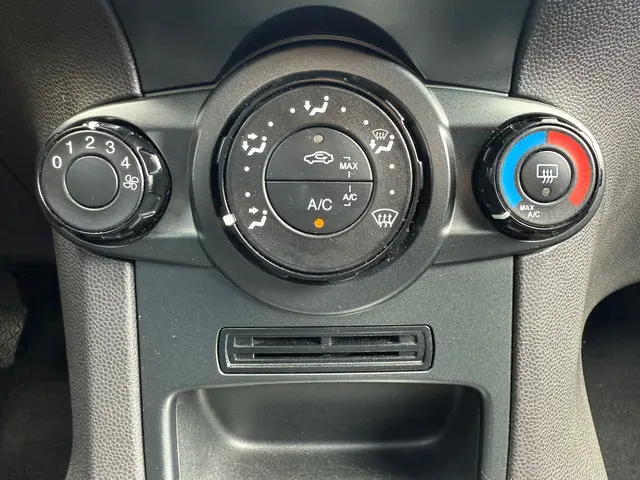 Ford Fiesta 1.25/Airco/Elek. Ramen/Nap/Apk! 2014 Benzine 15