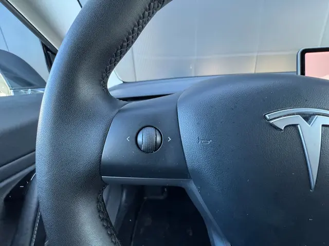 Tesla Model 3 Standard RWD Plus 60 kWh 2019 Elektrisch 23