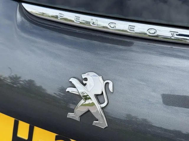 Peugeot 208 1.2 VTi Active 2014 Benzine 31