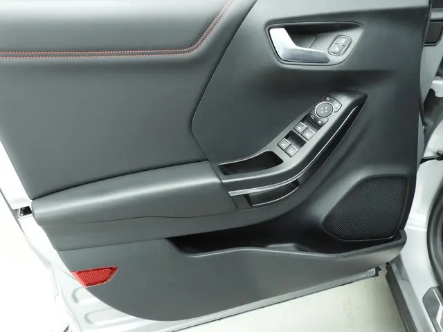 Ford Puma 1.0 EcoBoost Hybrid ST-Line X 2020 Benzine 19