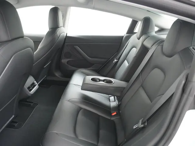 Tesla Model 3 Standard RWD Plus 60 kWh 2021 Elektrisch 22