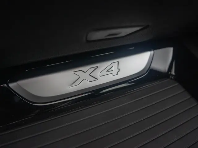 BMW X4 xDrive20i 2025 Benzine 41