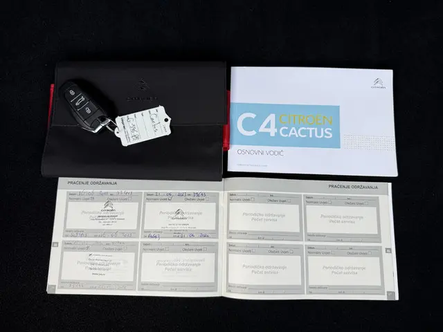 Citroën C4 Cactus 1.2 PureTech Feel 2019 Benzine 29