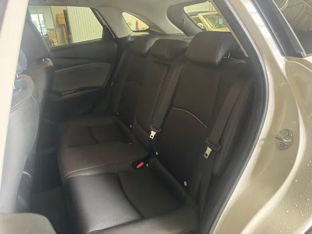 Mazda CX-3 2.0 SkyActiv-G 121 Luxury 2019 Benzine 9