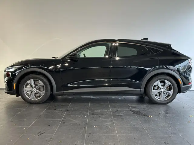 Ford Mustang Mach-E RWD 75 kWh 2021 Elektrisch 19