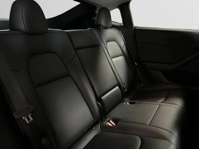 Tesla Model Y RWD 58 kWh 2023 Elektrisch 16