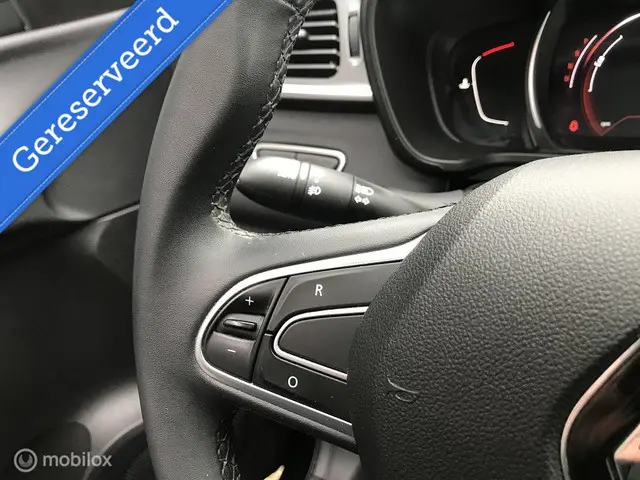 Renault Kadjar 1.3 TCe Limited 2020 Benzine 14