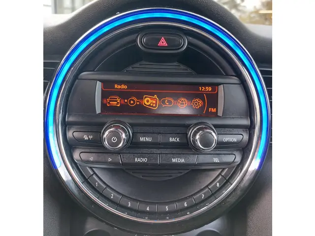 MINI One Mini 1.2 Salt Business 2016 Benzine 21