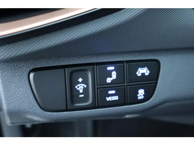 Hyundai IONIQ Premium EV 2018 Elektrisch 25