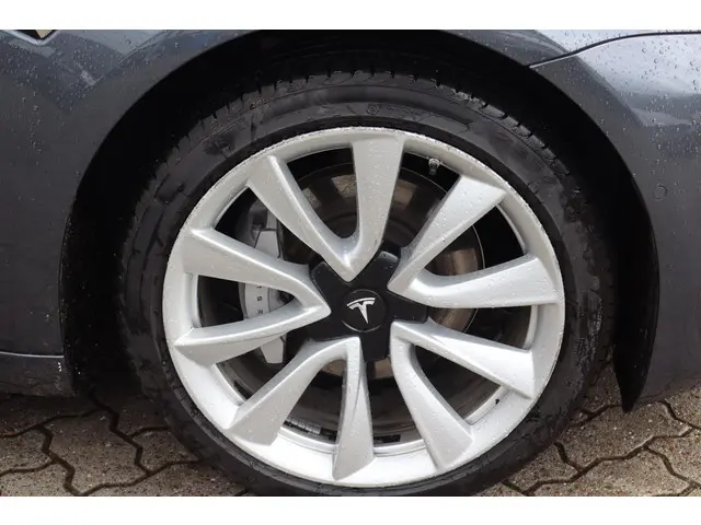 Tesla Model 3 Long Range AWD 75 kWh 2019 Elektrisch 14