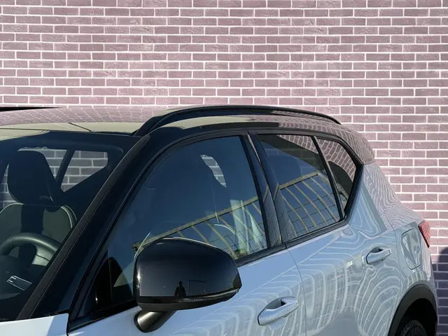 Volvo XC40 Recharge Plus 70 kWh 2022 Elektrisch 19