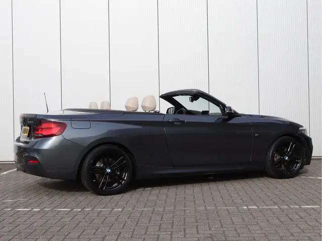 BMW 2 Serie Cabrio 220i High Executive 2021 Benzine 6