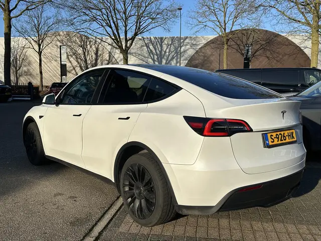 Tesla Model Y Long Range AWD 75 kWh 2023 Elektrisch 7