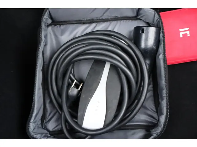 Tesla Model 3 Standard RWD Plus 60 kWh 2019 Elektrisch 20