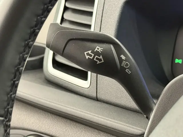 Ford Transit 290 2.0 TDCI L2H2 Trend 2024 Diesel 25