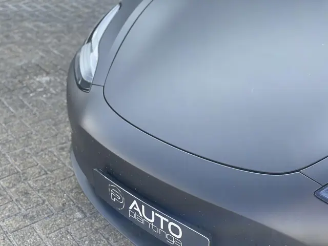 Tesla Model 3 Performance AWD 75 kWh 2019 Elektrisch 5
