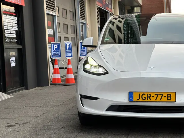 Tesla Model Y Long Range AWD 75 kWh 2022 Elektrisch 8