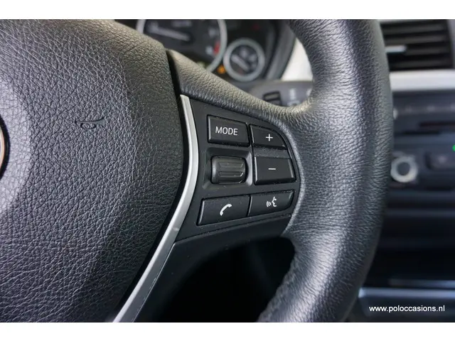 BMW 3 Serie 320d EDE 2014 Diesel 14