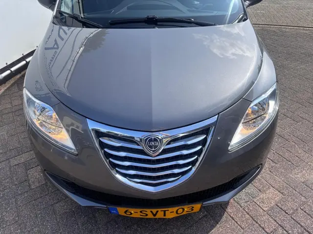 Lancia Ypsilon 0.9 TwinAir Silver + 2013 Benzine 26