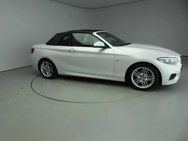 BMW 2 Serie Cabrio 220i 2018 Benzine 24