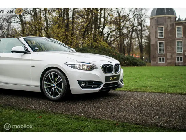BMW 2 Serie Cabrio | 2018 Benzine 17