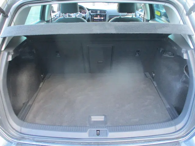 Volkswagen Golf 1.5 TSI Highline 2019 Benzine 13