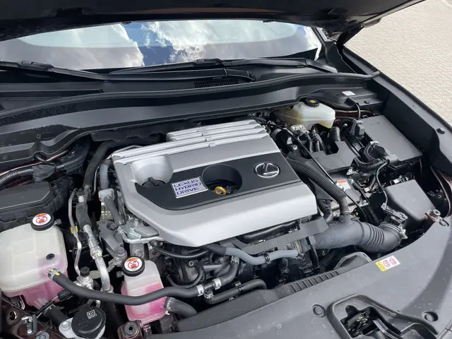 Lexus UX 250h Business Line 2019 Hybride Benzine 17