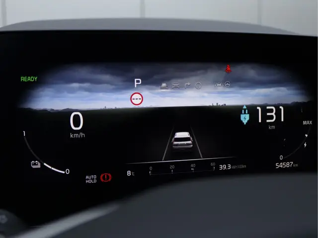 Kia Niro EV ExecutiveLine 64.8 kWh 2022 Elektrisch 46
