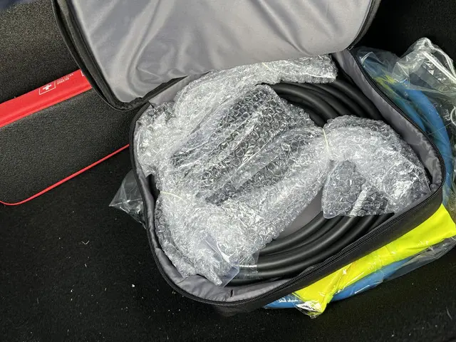 Tesla Model 3 Standard RWD Plus 60 kWh 2023 Elektrisch 6