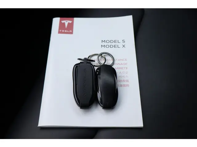 Tesla Model S 100D 2017 Elektrisch 3