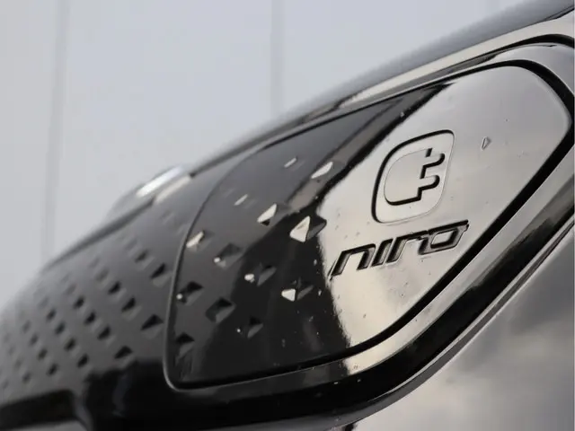 Kia e-Niro ExecutiveLine 64 kWh 2019 Elektrisch 10