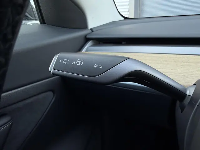 Tesla Model 3 Standard RWD Plus 60 kWh 2020 Elektrisch 14