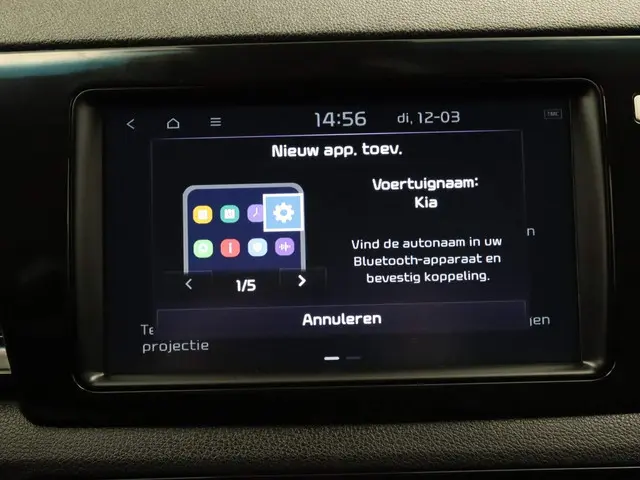 Kia e-Niro ExecutiveLine 64 kWh 2019 Elektrisch 29