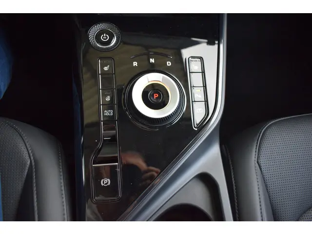 Kia Niro EV Edition Advanced 64.8 kWh 2024 Elektrisch 21