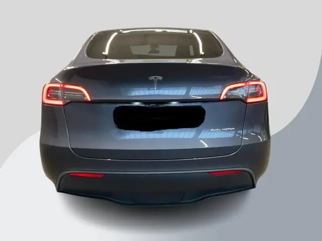 Tesla Model Y Long Range AWD 75 kWh 2022 Elektrisch 5