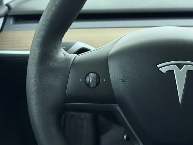 Tesla Model Y RWD 58 kWh 2023 Elektrisch 29