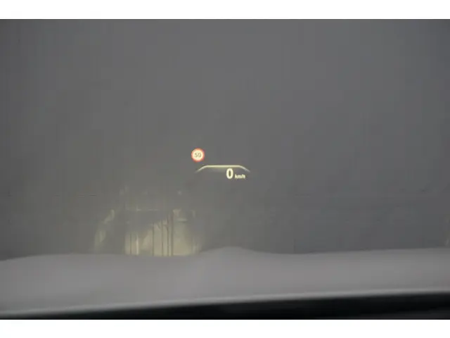 BMW X4 xDrive20i 2019 Benzine 17